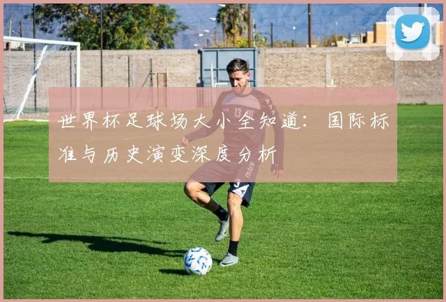世界杯足球场大小全知道:国际标准与历史演变深度分析