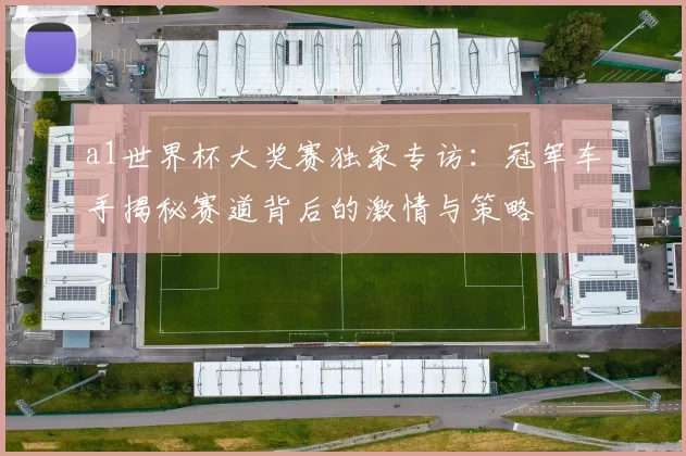 a1世界杯大奖赛独家专访：冠军车手揭秘赛道背后的激情与策略