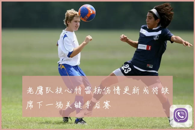 老鹰队核心特雷杨伤情更新或将缺席下一场关键季后赛
