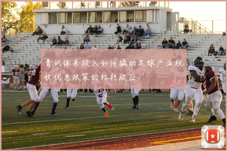 青训体系投入如何撬动足球产业税收优惠政策的杠杆效应