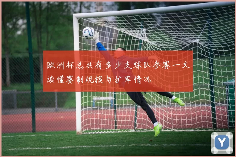 欧洲杯总共有多少支球队参赛一文读懂赛制规模与扩军情况