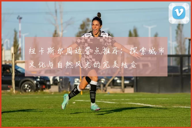 纽卡斯尔周边景点推荐:探索城市文化与自然风光的完美结合